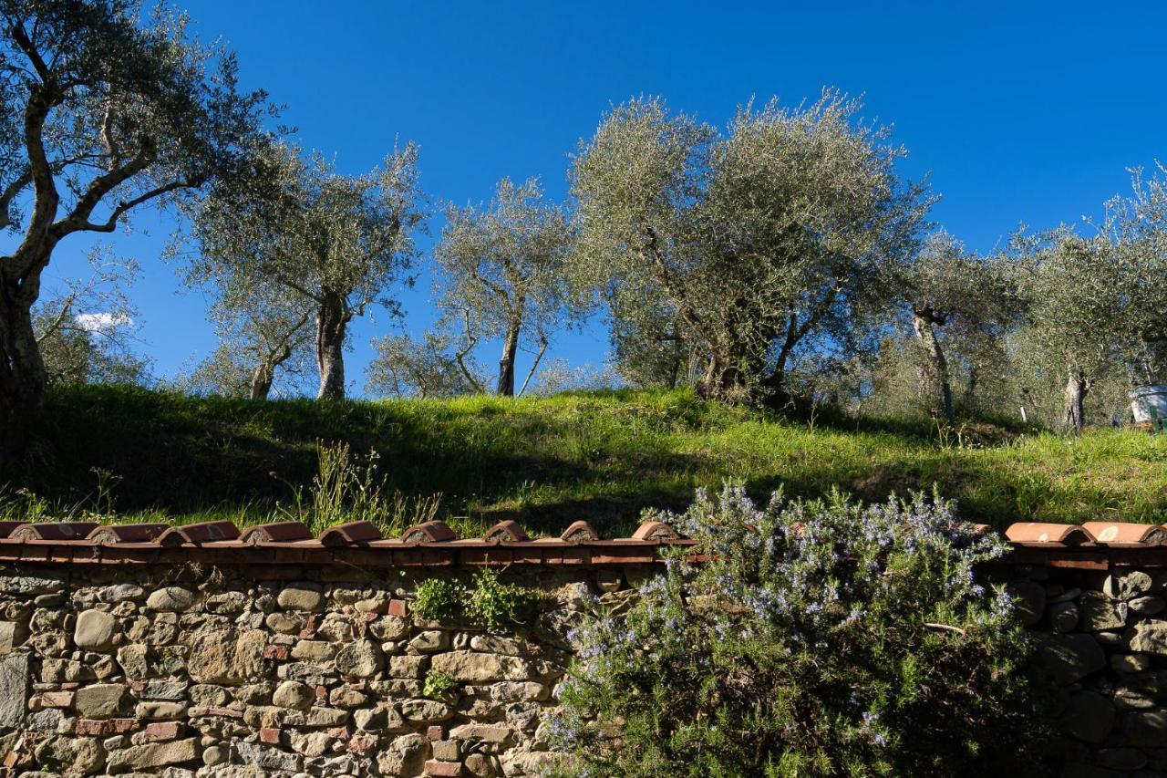 Villa Colle Olivi Pescia Esterno foto