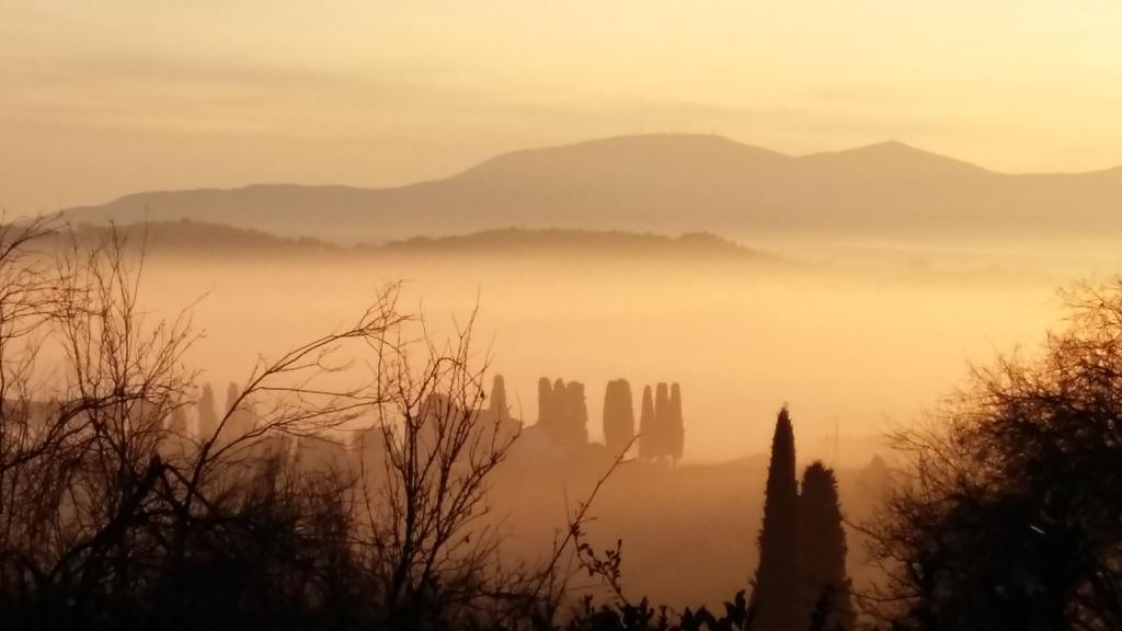 Villa Colle Olivi Pescia Camera foto